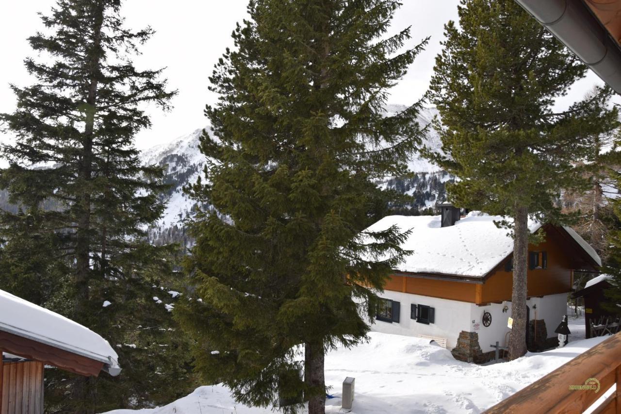 Appartement Pension Zirbenwald Turracher Hohe Exteriér fotografie